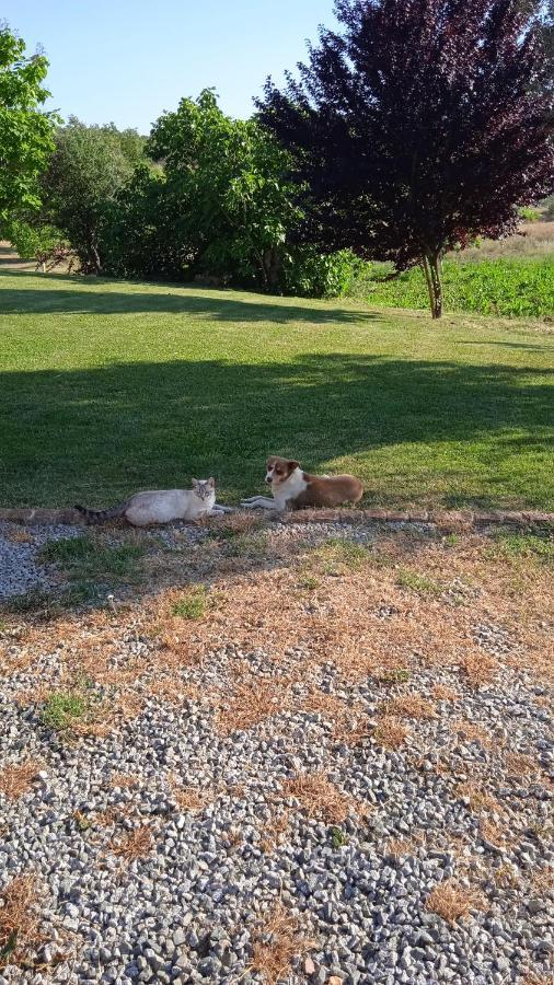 Casa Rural Camino Del Alentejo Villa La Codosera Dış mekan fotoğraf