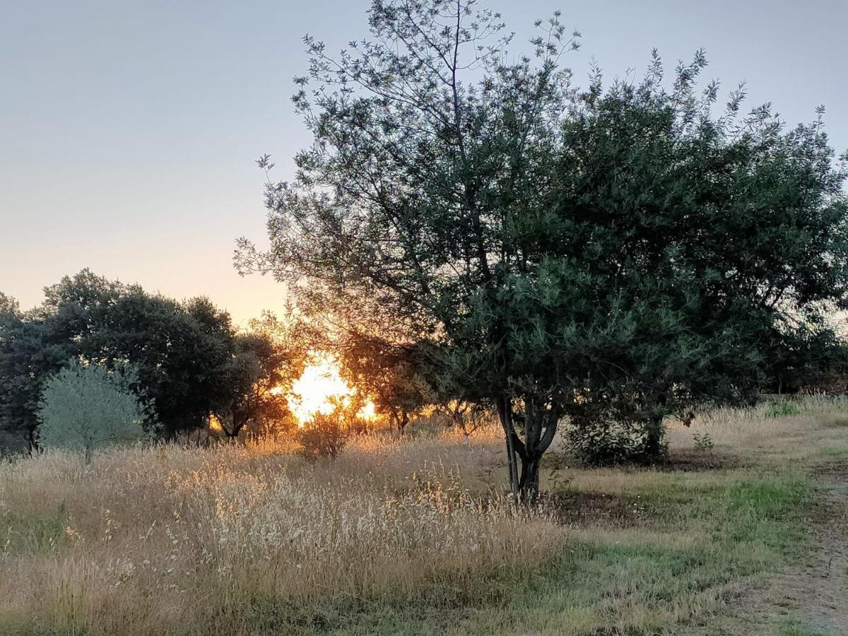 Casa Rural Camino Del Alentejo Villa La Codosera Dış mekan fotoğraf