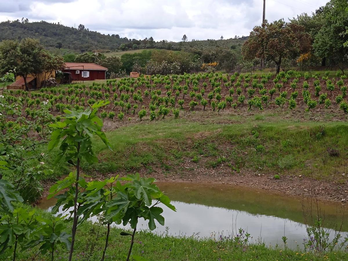 Casa Rural Camino Del Alentejo Villa La Codosera Dış mekan fotoğraf