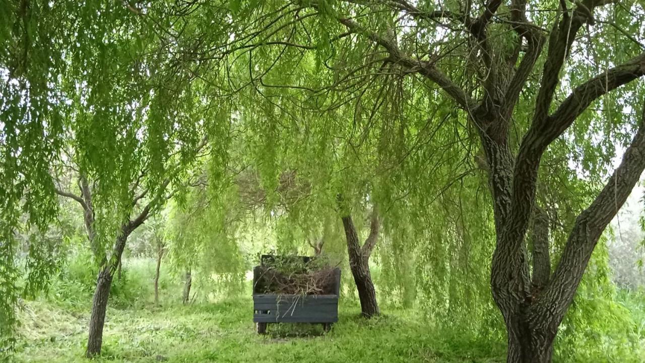 Casa Rural Camino Del Alentejo Villa La Codosera Dış mekan fotoğraf