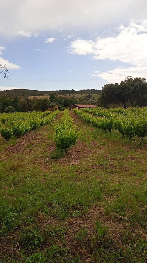 Casa Rural Camino Del Alentejo Villa La Codosera Dış mekan fotoğraf