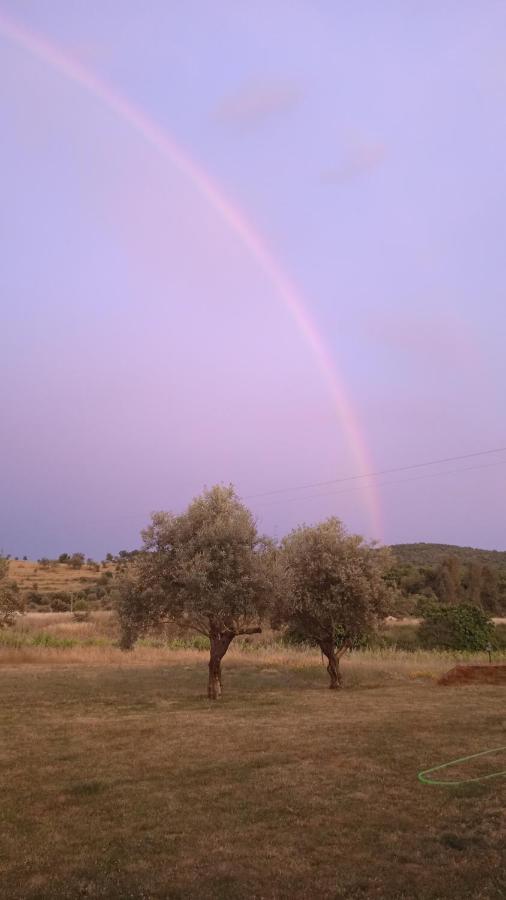 Casa Rural Camino Del Alentejo Villa La Codosera Dış mekan fotoğraf
