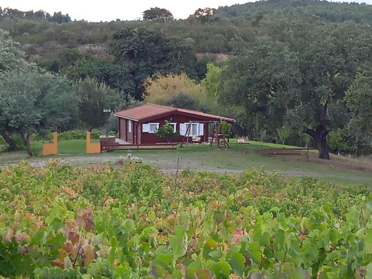Casa Rural Camino Del Alentejo Villa La Codosera Dış mekan fotoğraf