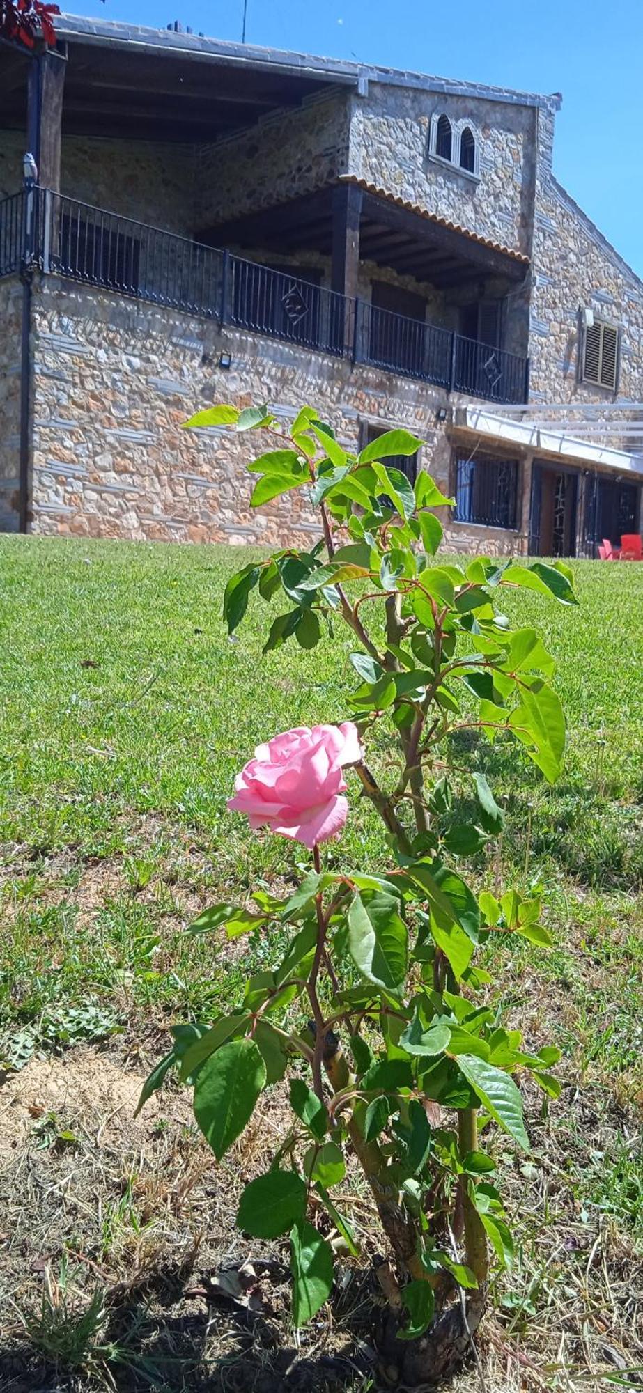 Casa Rural Camino Del Alentejo Villa La Codosera Dış mekan fotoğraf