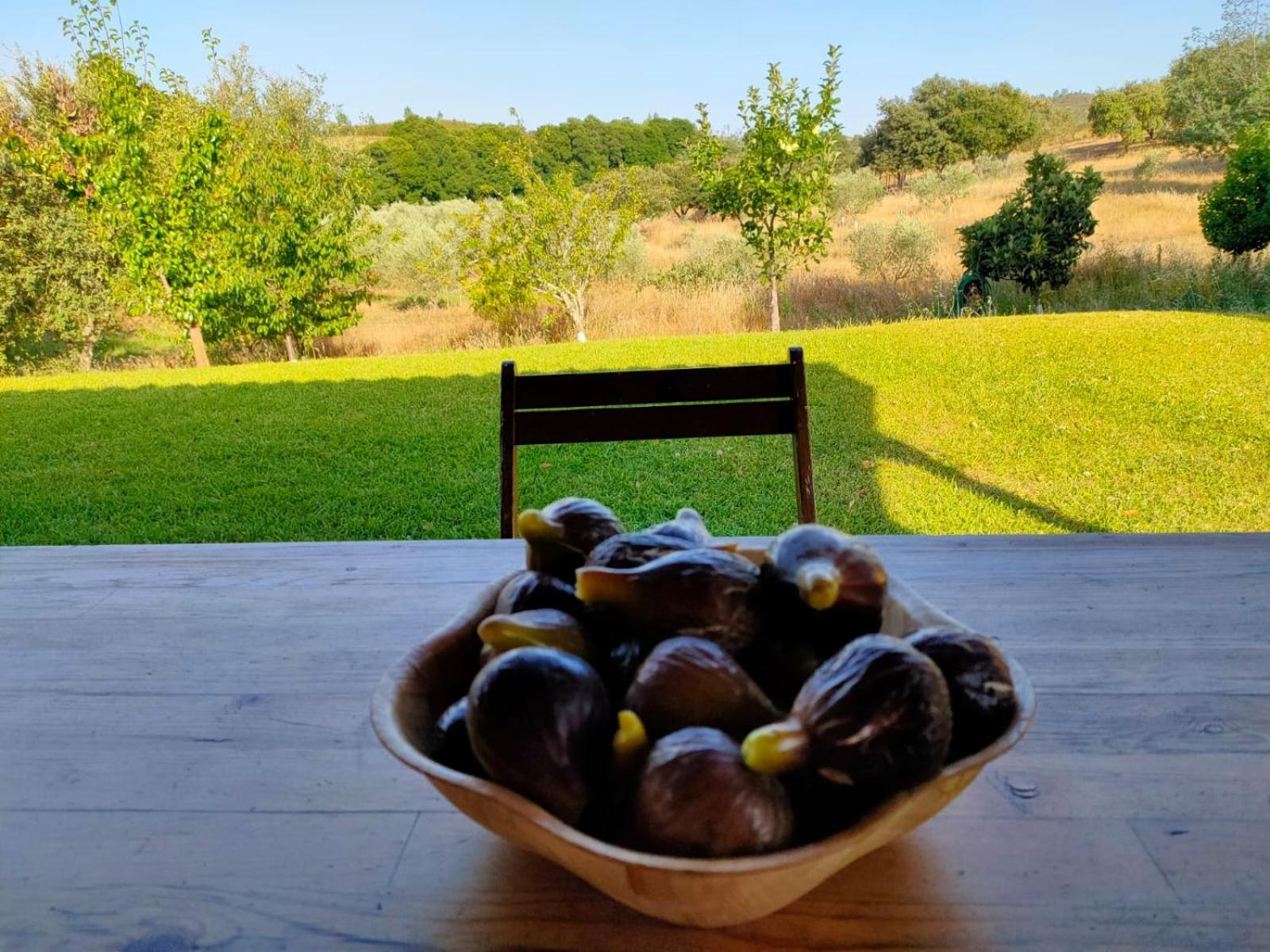 Casa Rural Camino Del Alentejo Villa La Codosera Oda fotoğraf