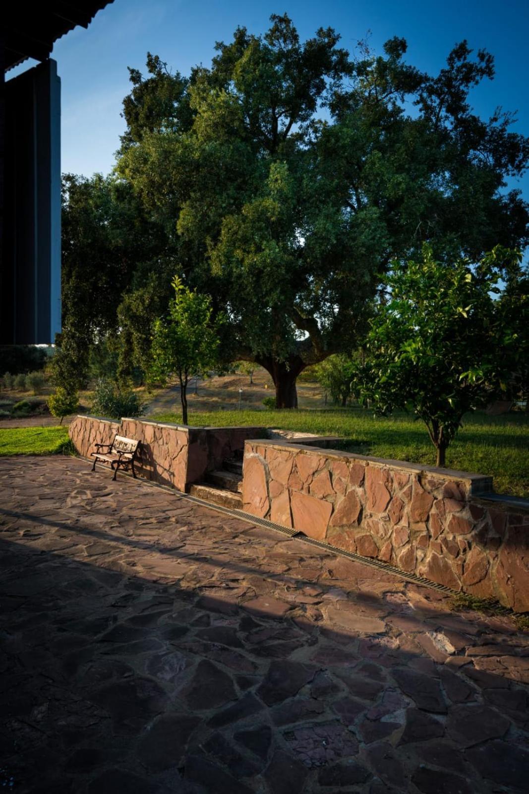 Casa Rural Camino Del Alentejo Villa La Codosera Oda fotoğraf